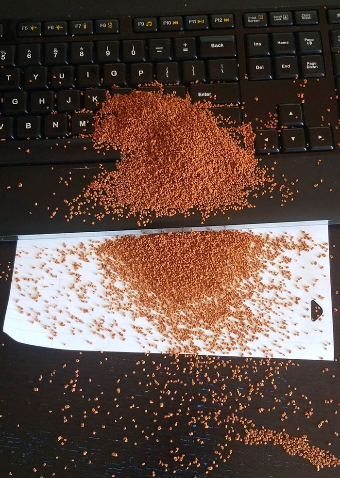 My Favorite Part Of The Day Is Spilling Fish Food On My Keyboard In The Middle Of An Online Class That Requires Typing