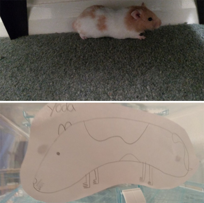My Sister's Drawing Of Our Hamster (She Was 7 When She Drew It)