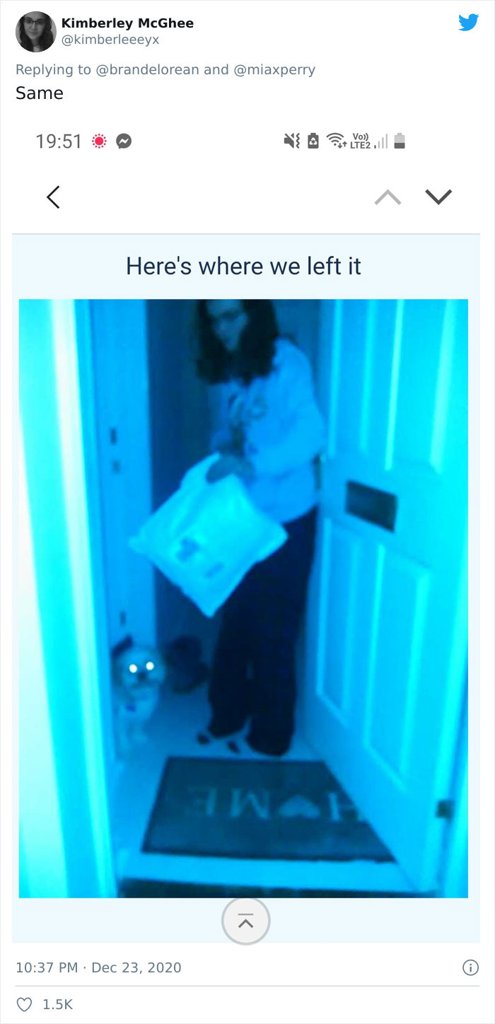 Pets-Collecting-Delivery-Items