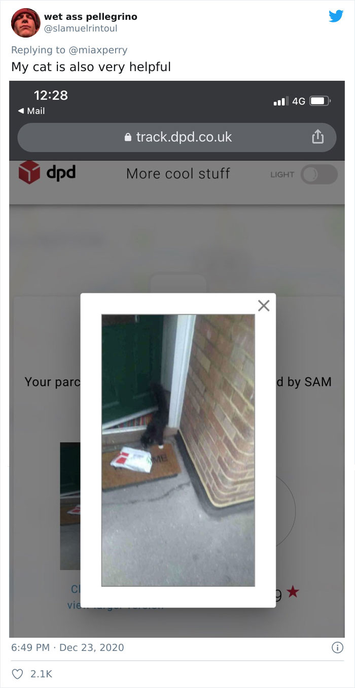 Pets-Collecting-Delivery-Items