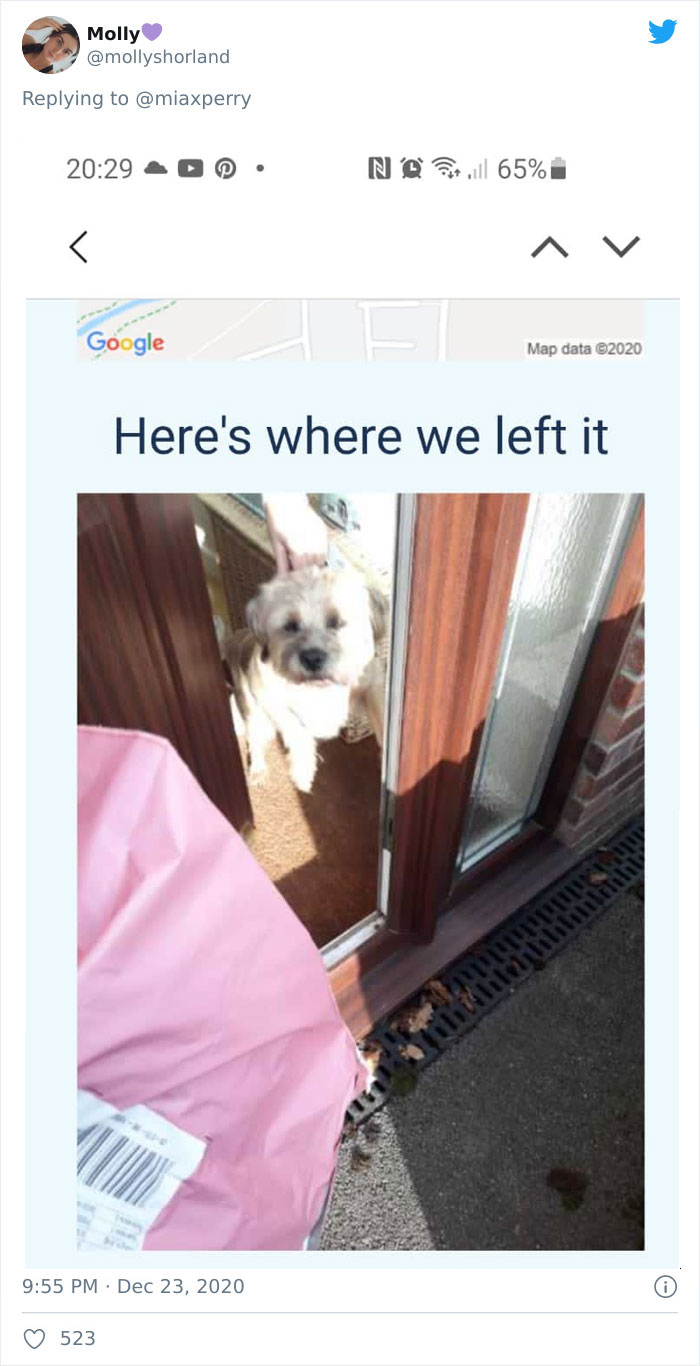 Pets-Collecting-Delivery-Items