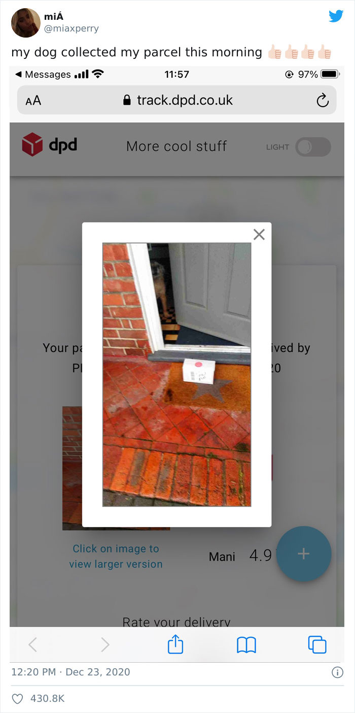 Pets-Collecting-Delivery-Items