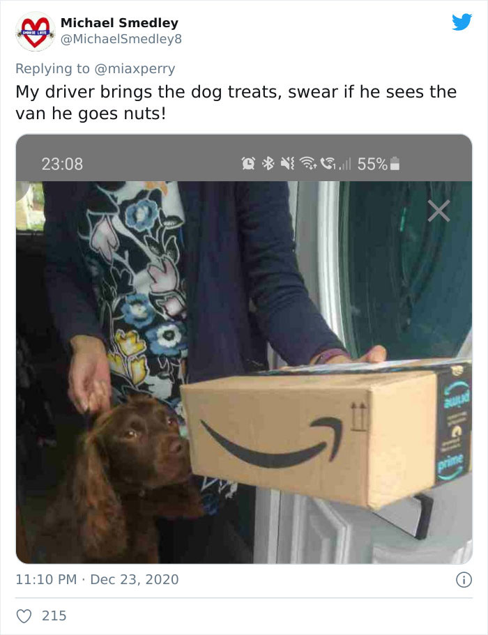 Pets-Collecting-Delivery-Items