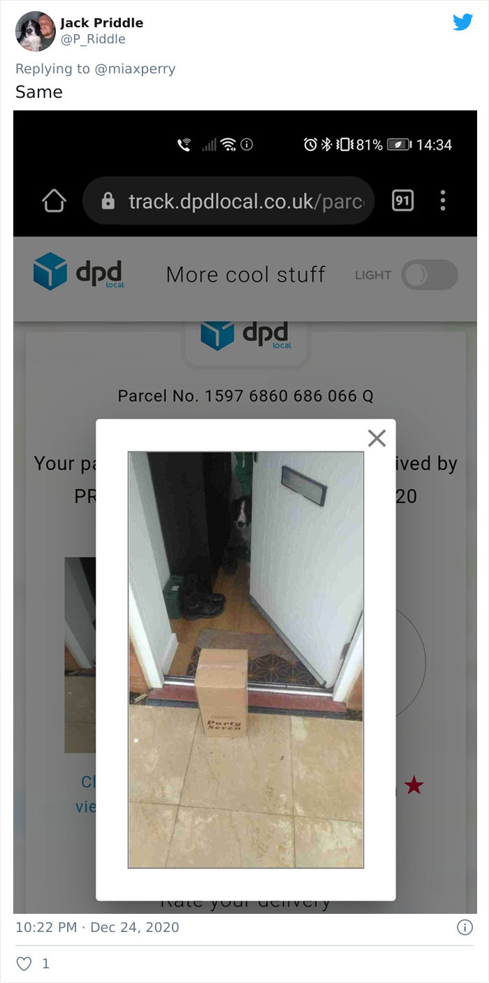 Pets-Collecting-Delivery-Items