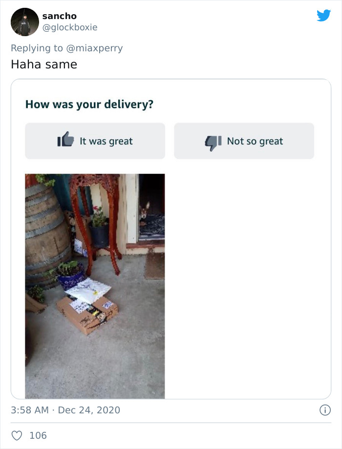 Pets-Collecting-Delivery-Items