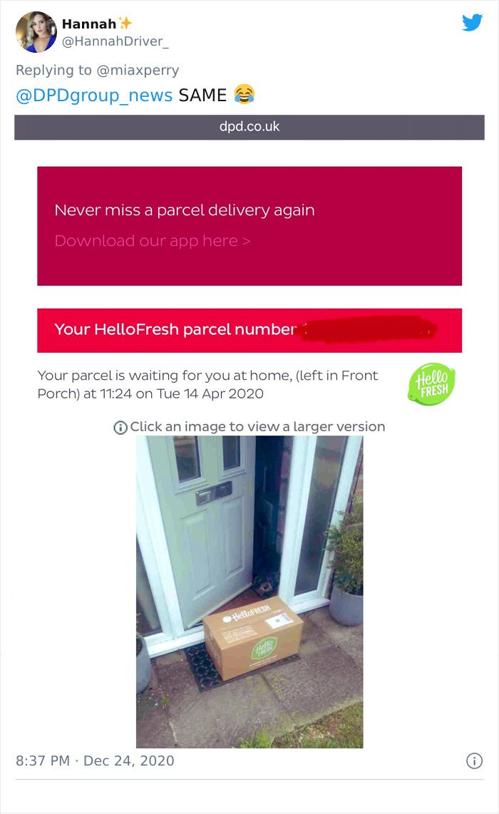 Pets-Collecting-Delivery-Items