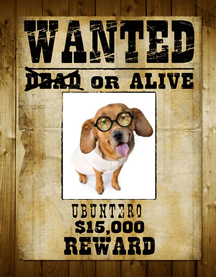 Wanted