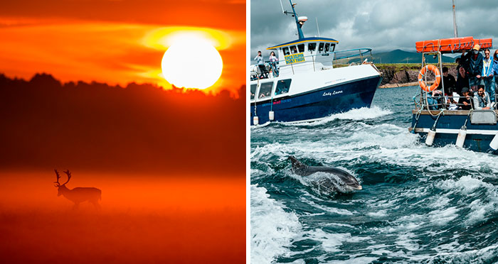 Top Photographers Of Ireland Shared These 22 Photos That Perfectly Sum Up 2020