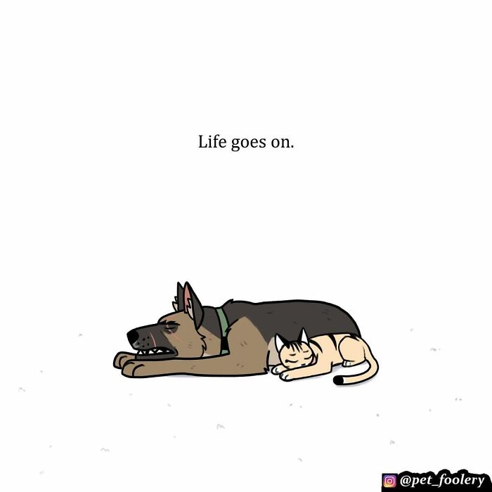 The Creator Of ‘Pixie And Brutus’ Finally Reveals How Brutus Got His Scars, And People Can’t Hold Back The Tears