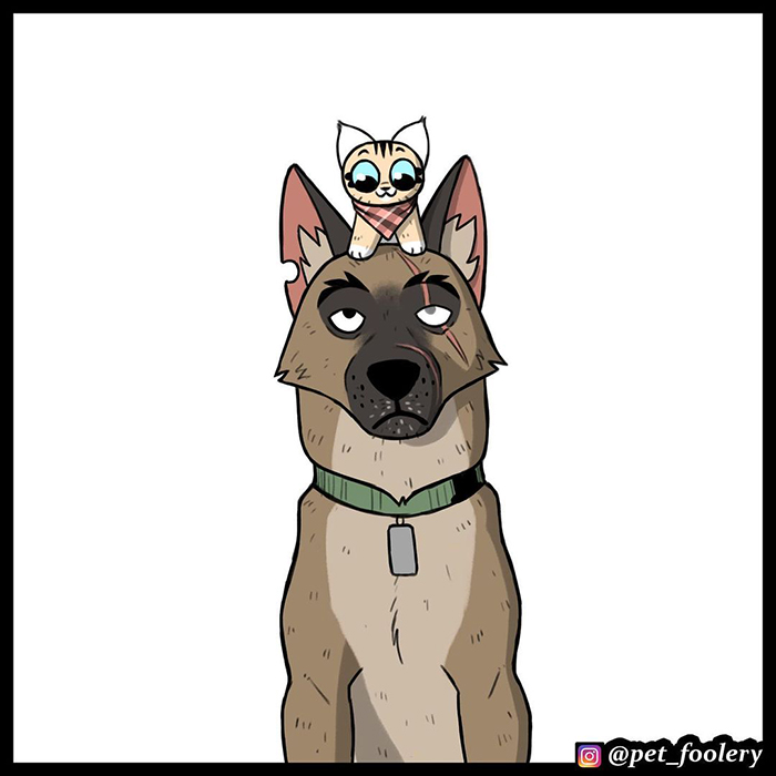 The Creator Of ‘Pixie And Brutus’ Finally Reveals How Brutus Got His Scars, And People Can’t Hold Back The Tears The Creator Of ‘Pixie And Brutus’ Finally Reveals How Brutus Got His Scars, And People Can’t Hold Back The Tears