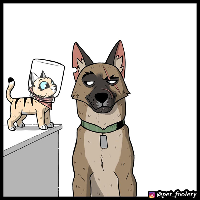 The Creator Of ‘Pixie And Brutus’ Finally Reveals How Brutus Got His Scars, And People Can’t Hold Back The Tears