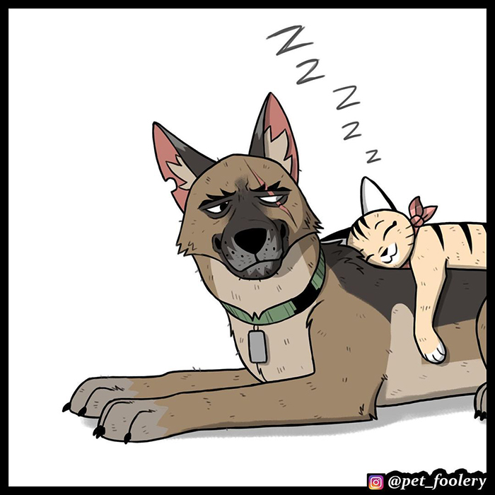 The Creator Of ‘Pixie And Brutus’ Finally Reveals How Brutus Got His Scars, And People Can’t Hold Back The Tears The Creator Of ‘Pixie And Brutus’ Finally Reveals How Brutus Got His Scars, And People Can’t Hold Back The Tears