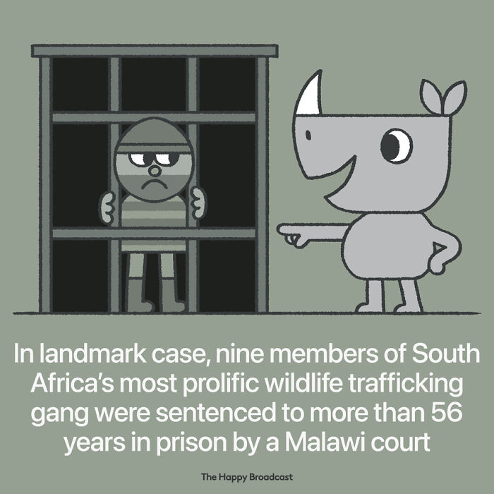 Positive-News-2020-Illustrations-Mauro-Gatti