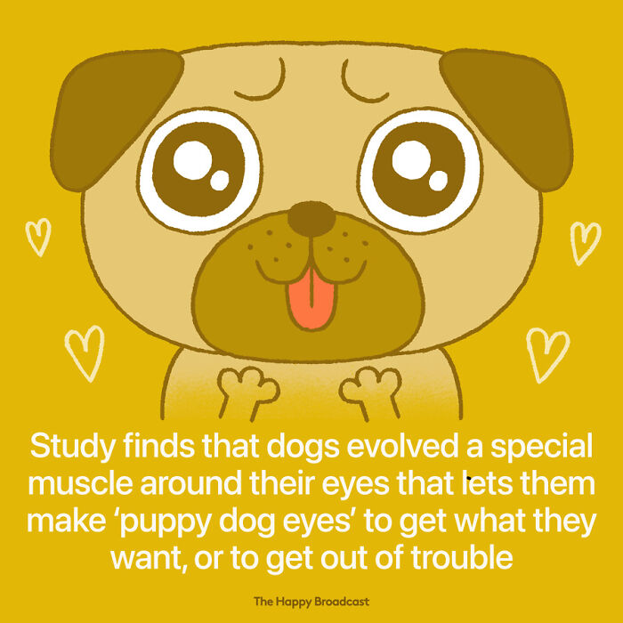 Positive-News-2020-Illustrations-Mauro-Gatti