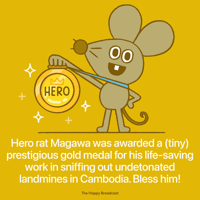 Positive-News-2020-Illustrations-Mauro-Gatti