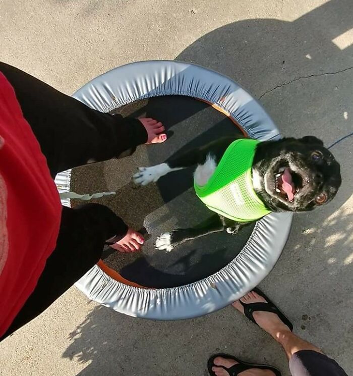 He Goes 0 To 100 Real Quick!