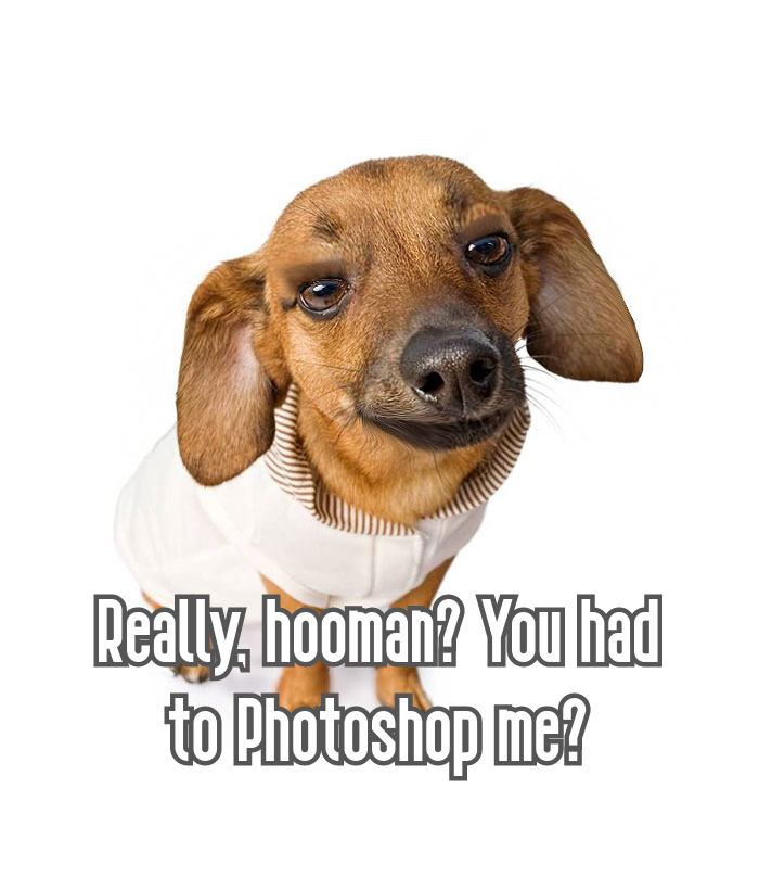 Not The Best, But I Guess It's Okay