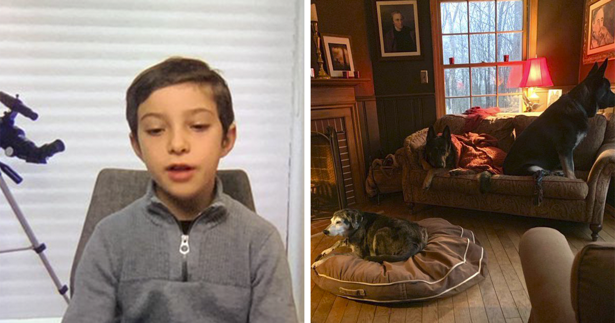 This Twitter Account Rates Famous People’s Zoom Backgrounds And Here Are 32 Of The Most Hilarious Ratings