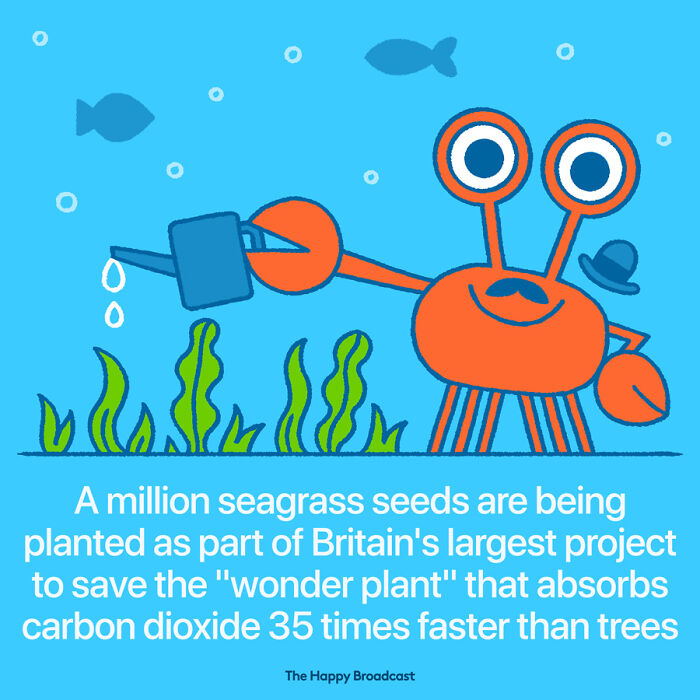 Positive-News-2020-Illustrations-Mauro-Gatti