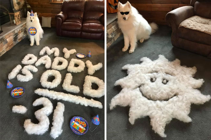 Shedding-Dog-Challenge-Facebook