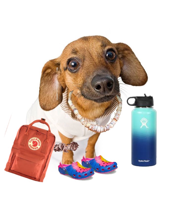 And I Oop Skskskskskskksksksksks (Dont Ask I Couldnt Think Of Anything)