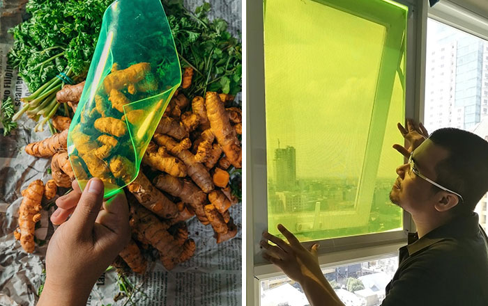 27-Year-Old Student Creates Solar Panels Made From Food Waste That Can Produce Energy Even On Cloudy Days