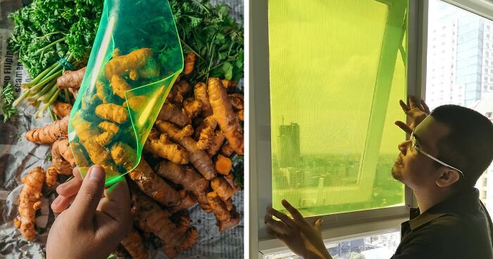 27-Year-Old Student Creates Solar Panels Made From Food Waste That Can Produce Energy Even On Cloudy Days27-Year-Old Student Creates Solar Panels Made From Food Waste That Can Produce Energy Even On Cloudy Days