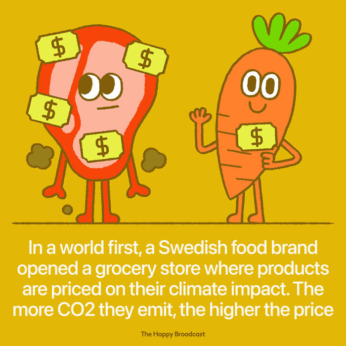 Positive-News-2020-Illustrations-Mauro-Gatti