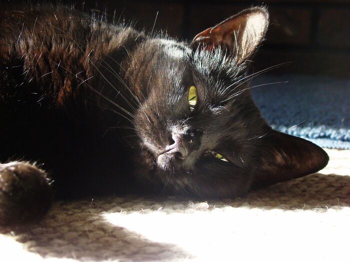 Miss This Beautiful Girl