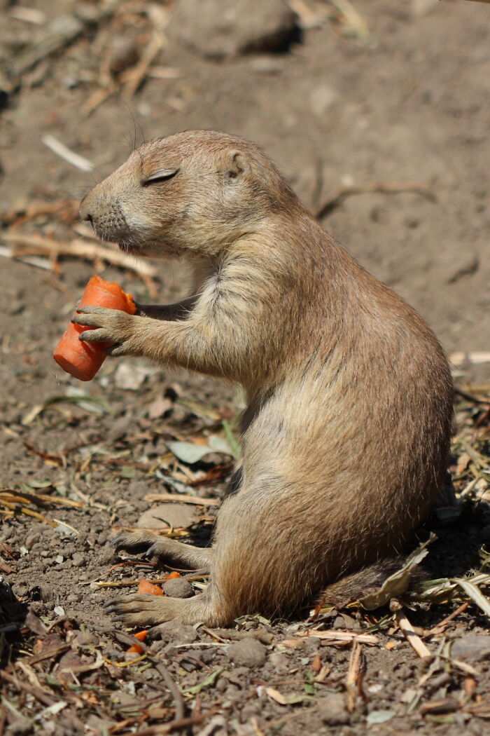 Local People Share 30 Things Tourists Do That Make Them Stand Out As A Non-Local