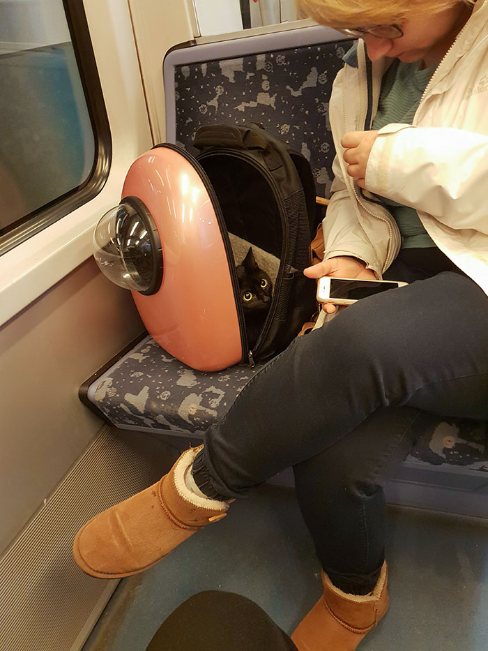 My Heart Just Melted When I Saw That On The Subway