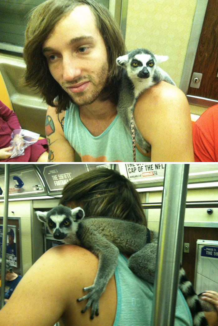 Met This Fine Gentleman On The Subway Today