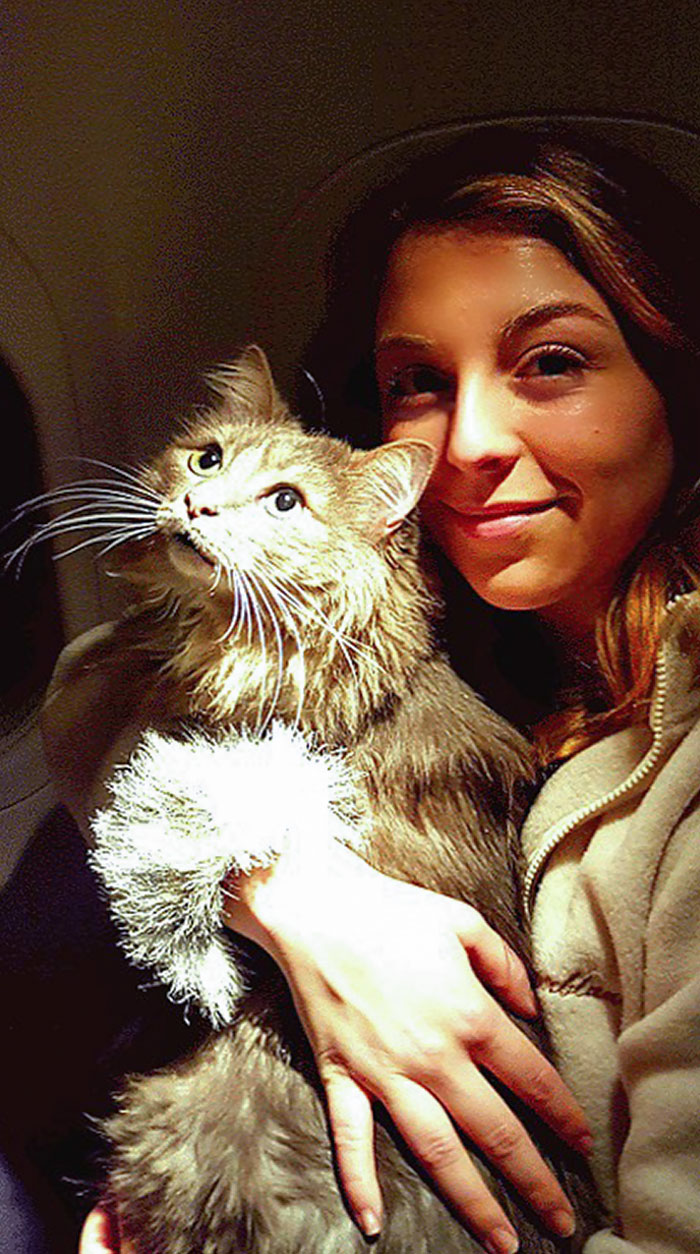 Thought My Cat Would Be So Excited To Look Out The Plane Window. She Ended Up Staring Up Into The Air Vent The Whole Time