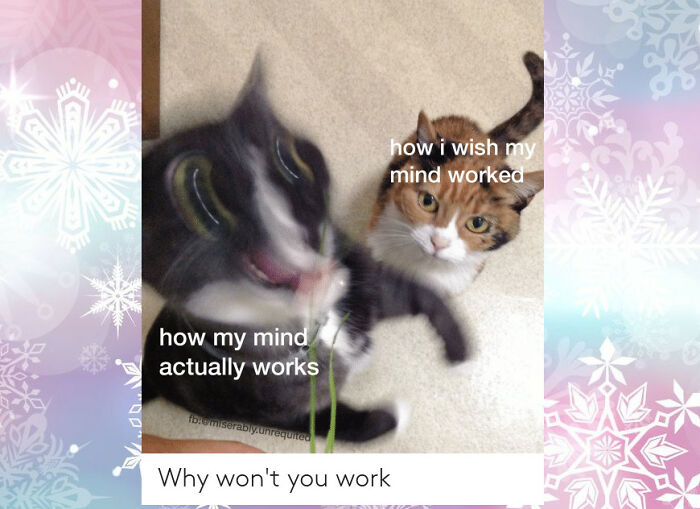 Definitely Applies To Me Lol