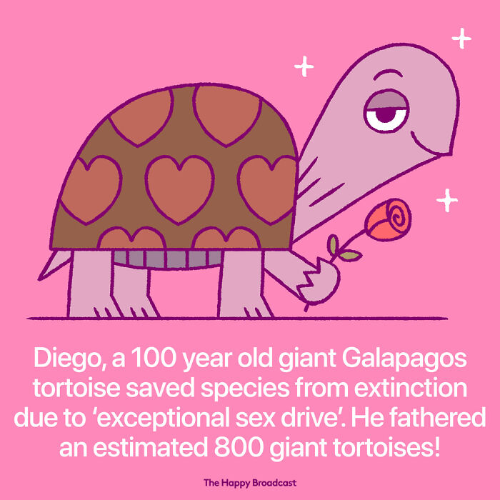 Positive-News-2020-Illustrations-Mauro-Gatti