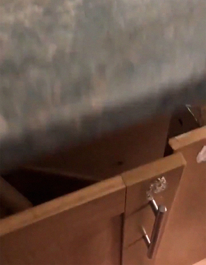 Man Finds A Secret Doorway With Stairs Hidden In Kitchen Cupboard During An Apartment Viewing And People Online Are Creeped Out Man Finds A Secret Doorway With Stairs Hidden In Kitchen Cupboard During An Apartment Viewing And People Online Are Creeped Out