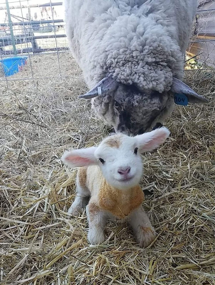 Hello World, I'm 15 Minutes Old