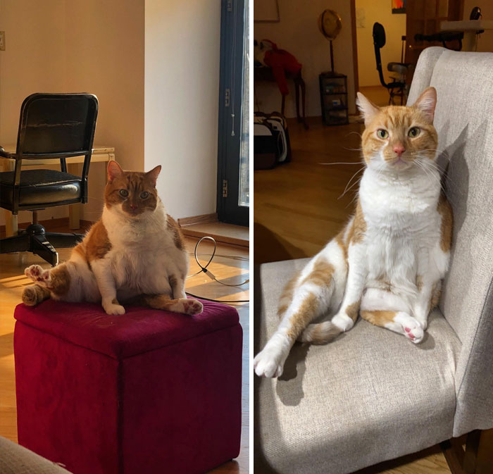 Phoebe’s Weight Loss Journey Is Going Well