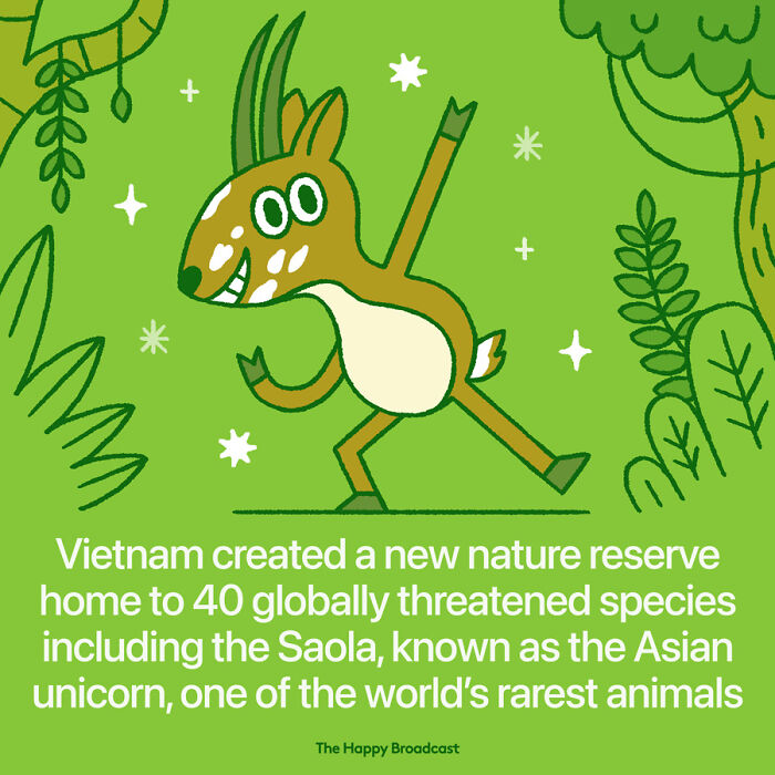 Positive-News-2020-Illustrations-Mauro-Gatti