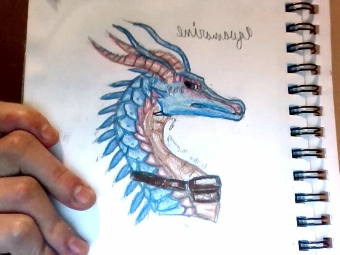 My Grumpy Silkwing Oc With The Most Original Name Ever: Aquamarine