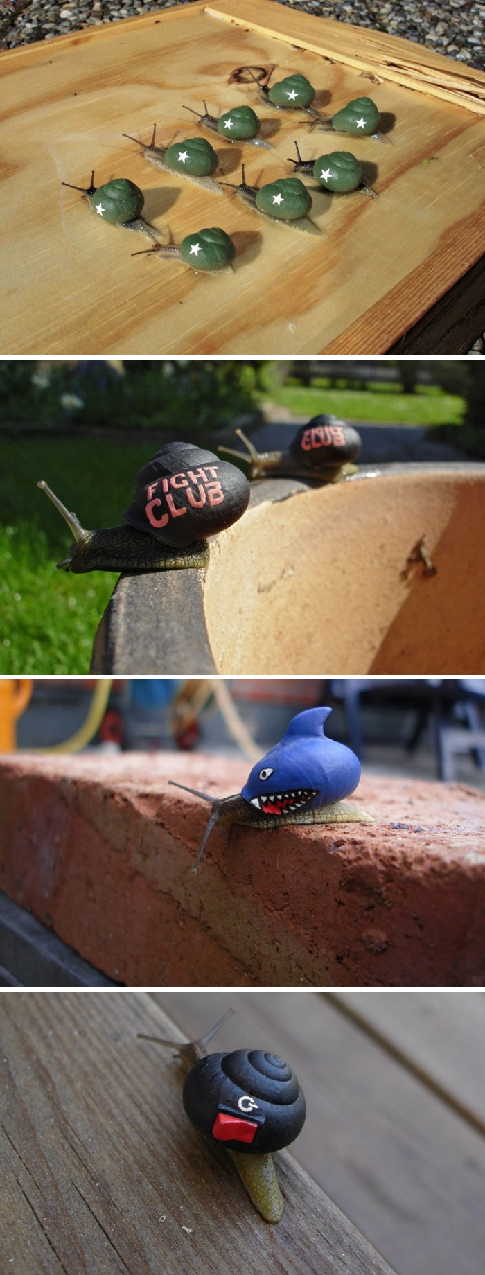 Many snails with painted shells