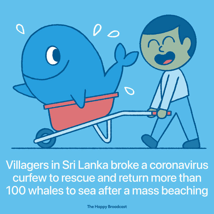 Positive-News-2020-Illustrations-Mauro-Gatti