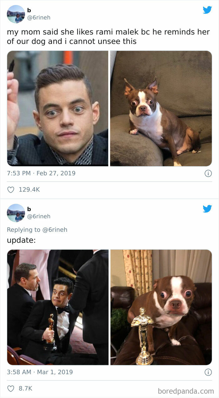 Not Sure Who Looks More Terrified