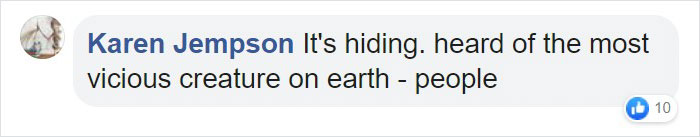 Scientists Confirm The World's 1st-Ever Images Capturing A Leucistic Puma Scientists Confirm The World's 1st-Ever Images Capturing A Leucistic Puma