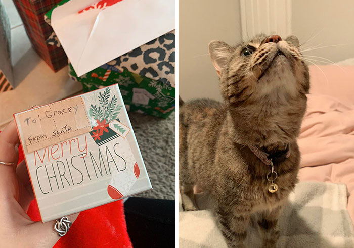 My Stepdad Very Suddenly Passed Away Wednesday Evening, This Morning We Found A Christmas Present For My Kitty Addressed From “Santa” (Aka My Stepdad)