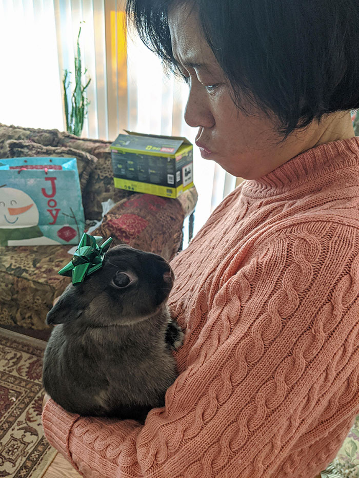 My Mom Loves Holding My Bunny So I Brought Her Over For Christmas