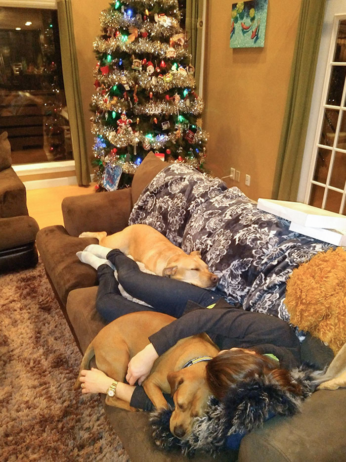 My Wife With No Dogs, Who Loves Dogs, Gets To Watch Family's Dogs Over The Holidays. Merry Christmas Baby