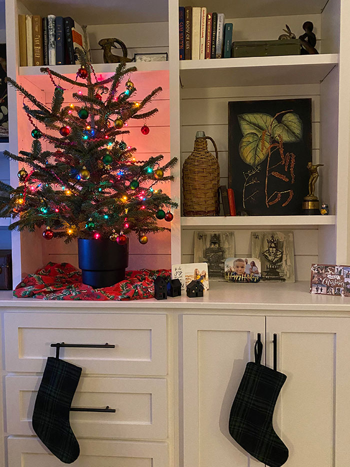 When My Neighbor Found Out We Were Covid Positive This Week, She Rushed Out And Got Us A Little Live Tree With Lights So We'd Have A Bit Of Christmas Cheer