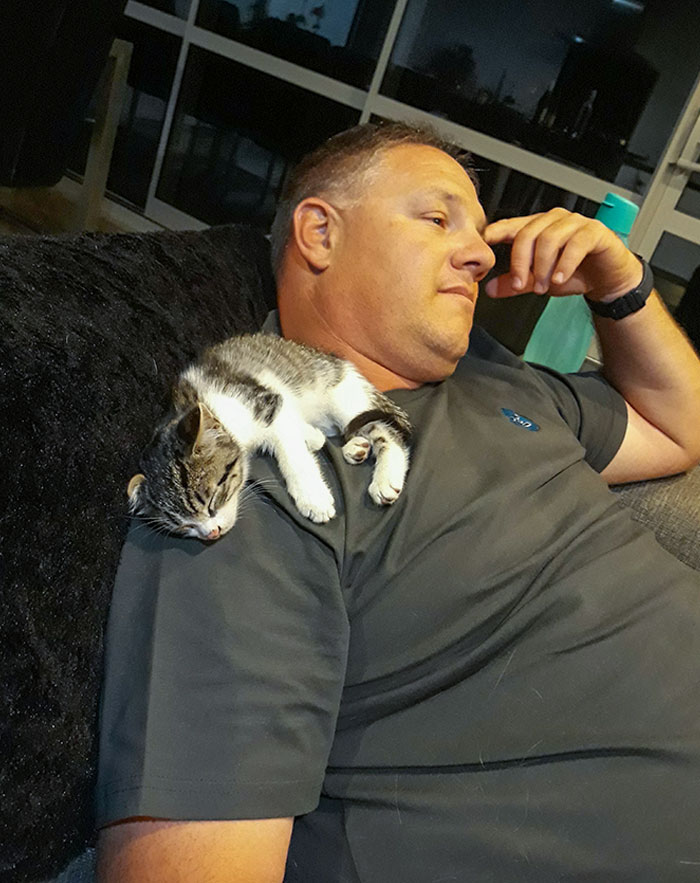 Picked This Wee Babe Up Off The Side Of The Road In The Country. Looks Like We Have A New Christmas Kitten