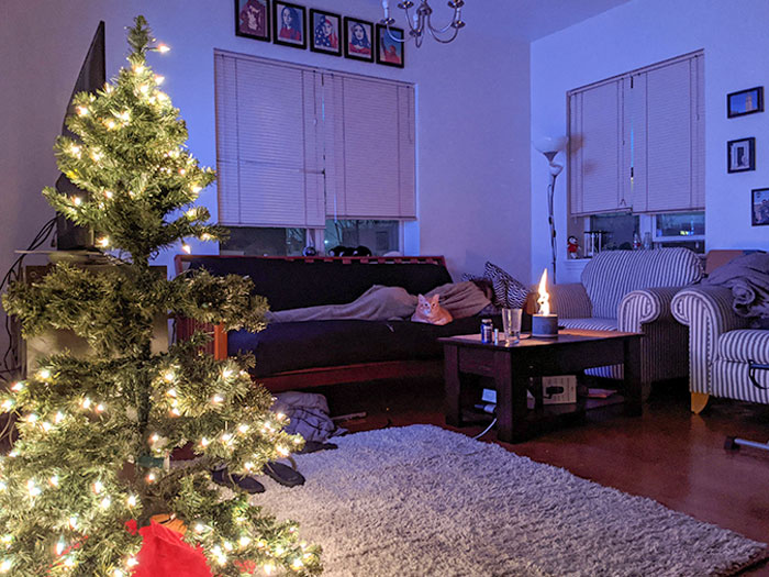 Boyfriend Took This Photo Of Me And My Cat Sleeping On The Couch. This Is My First Christmas Away From A Neglectful And Abusive Severe Hoarding Situation
